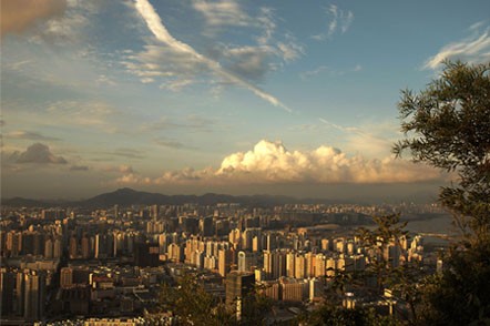 夜?雨林——雨林深處秘境探訪