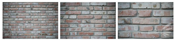 精細調(diào)焦與馥郁色彩 美科25mm f1.8鏡頭評測