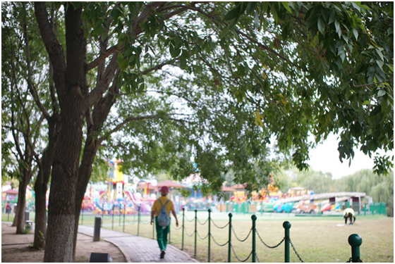 精細調(diào)焦與馥郁色彩 美科25mm f1.8鏡頭評測