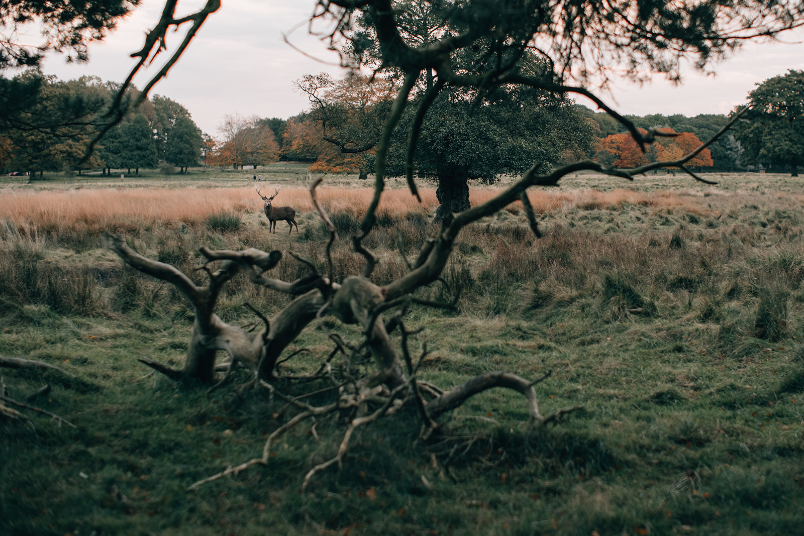 拍攝者-- Make Life Memorable  5012L